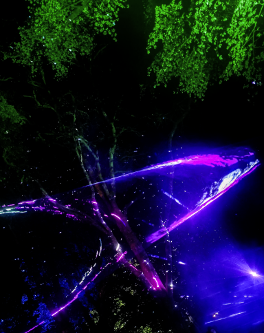 Colourful laser lights illuminating a dark forest with trees and vibrant hues.