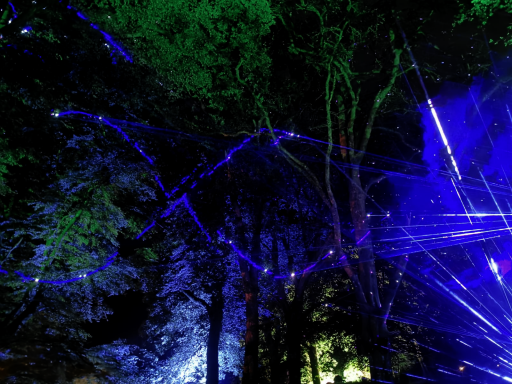 Colourful laser lights illuminating a dark forest with trees and vibrant hues.