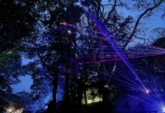 Colourful laser lights illuminating a dark forest with trees and vibrant hues.