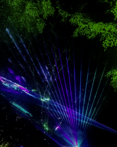 Colourful laser lights illuminating a dark forest with trees and vibrant hues.