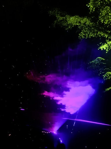 Colourful laser lights illuminating a dark forest with trees and vibrant hues.